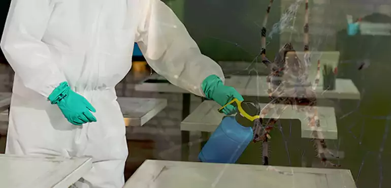 Why Buyers Still Want Homes With Pest Infestations in New York, NY?