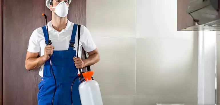 Why New York Homeowners Choose Us When Pests Make Selling Difficult