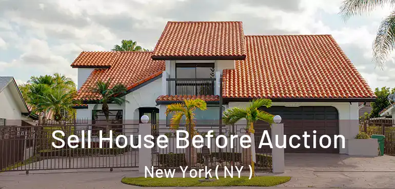  Sell House Before Auction New York ( NY )