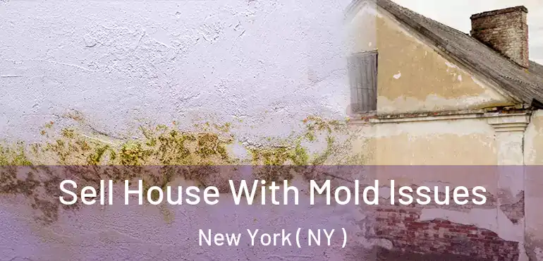  Sell House With Mold Issues New York ( NY )